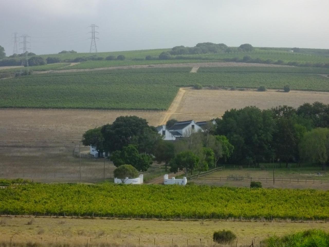 Lauradale Accommodation Stellenbosch Zewnętrze zdjęcie